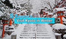 5 Reasons to Visit Kyoto in Winter