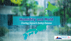  Fighting Humidity and Mold During Japan’s Rainy Season