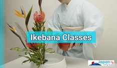 Learning Ikebana- English-Speaking Ikebana Classes in Tokyo