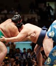 Sumo Wrestling in Japan : Tournaments, Tickets and More
