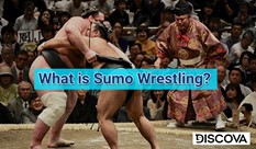 What is Sumo Wrestling? 