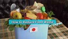 How to Reduce Food Waste in Japan: Steps to Sustainability