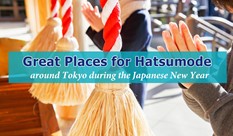 Great Places for 'Hatsumode' around Tokyo during the Japanese New Year