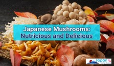 Japanese Mushrooms: Nutritious and Delicious