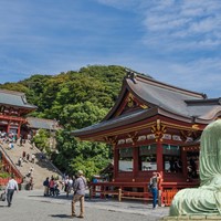 japan with travel agency