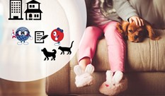 Renting Property with a pet in Japan